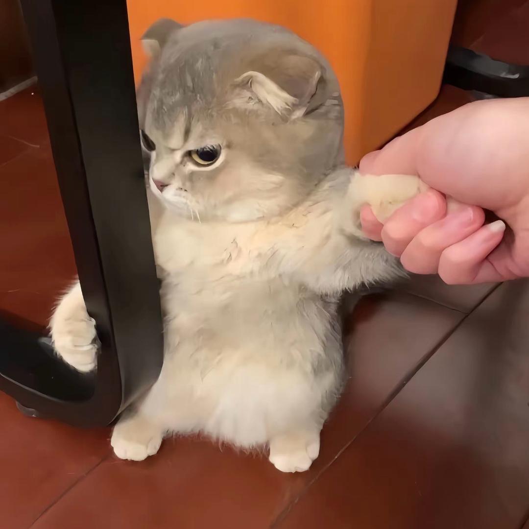 爱与不爱皆自由