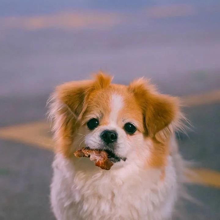 不是山谷安⛰️