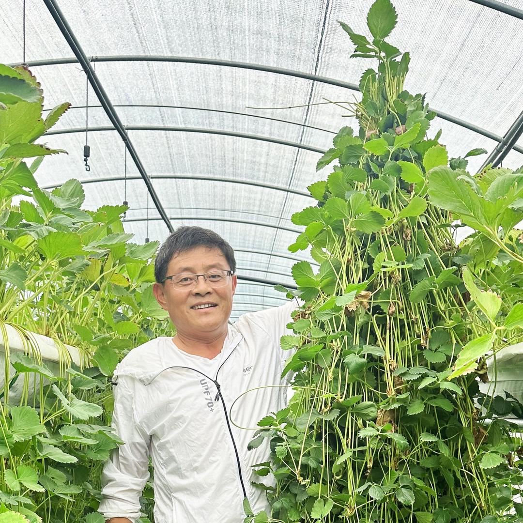 山东省科技特派员张荣俊