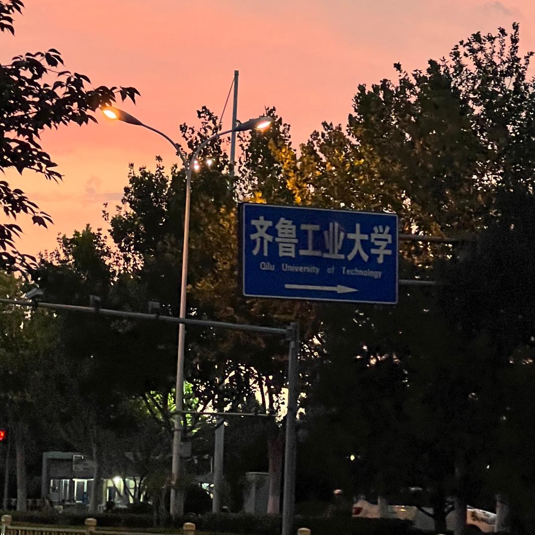 齐鲁工业大学学姐在线