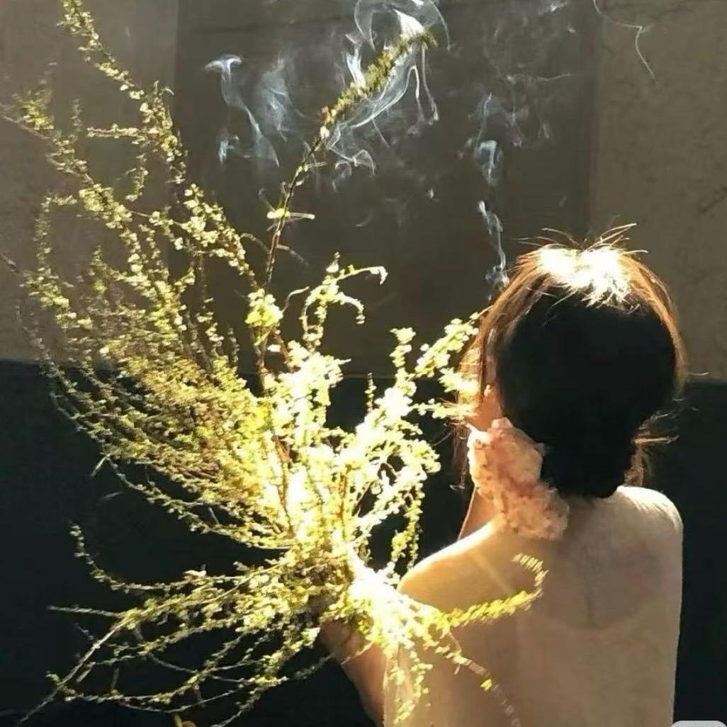 琪琪妈妈好物分享