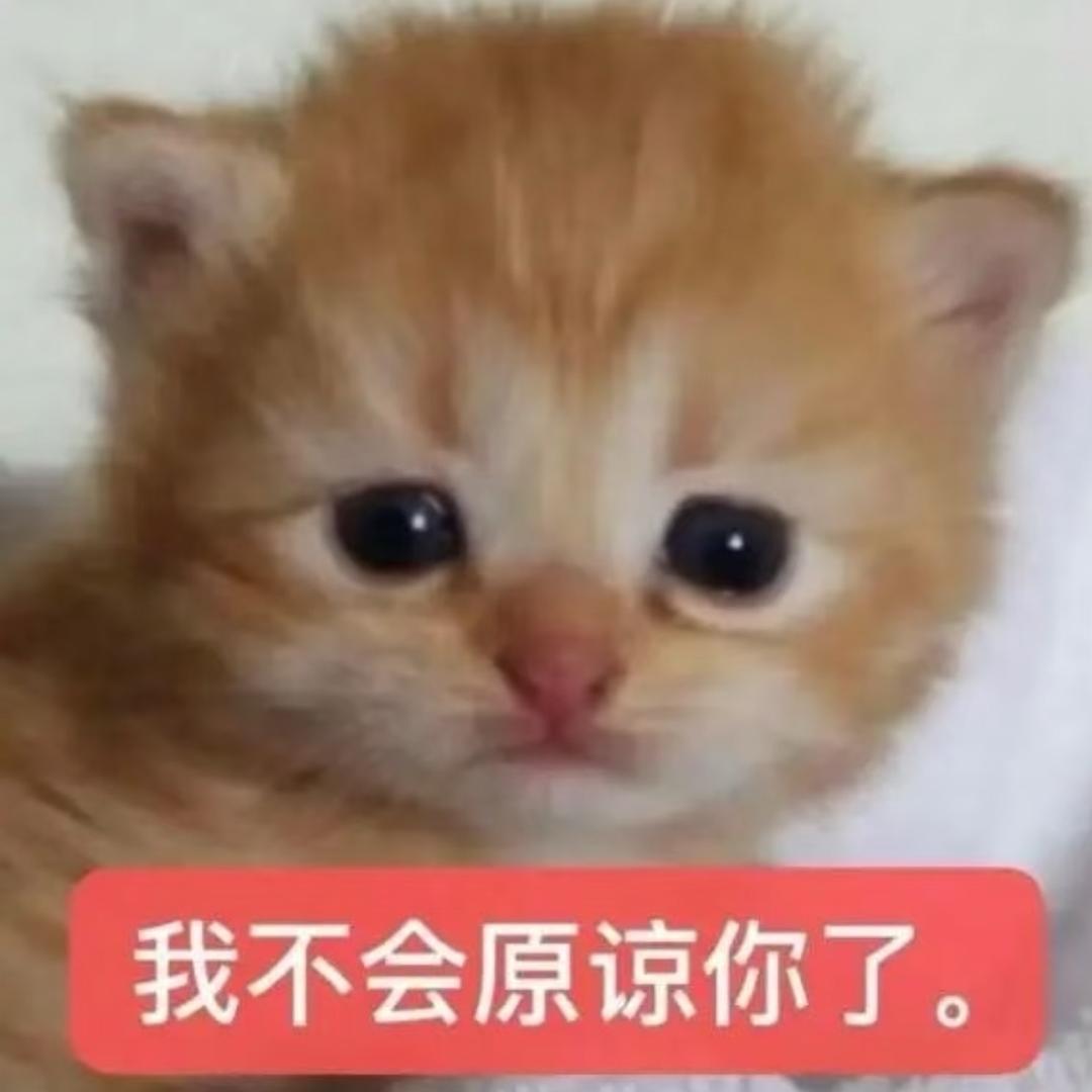 疯狂小学生