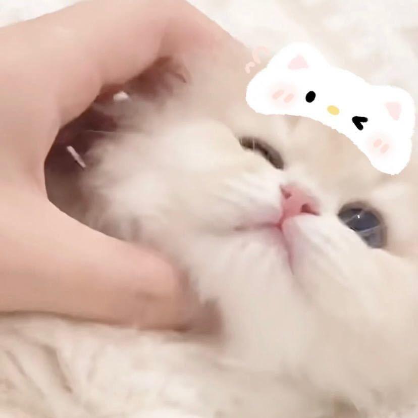 N_