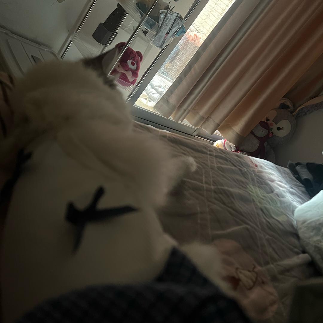 困得起不来