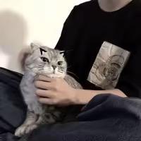 我的世界黑球