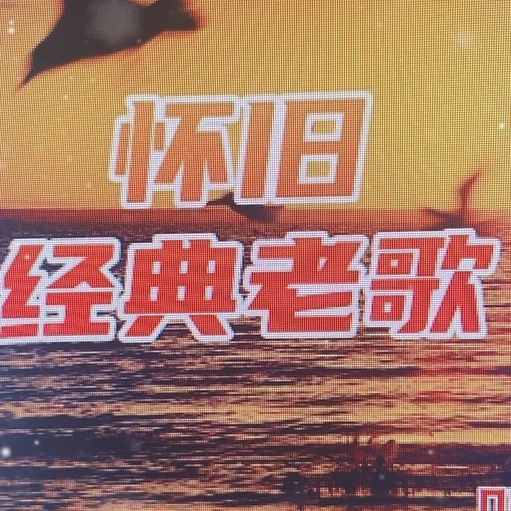 露宝