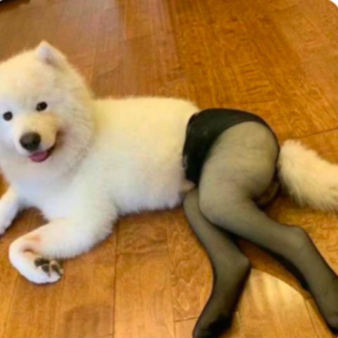 十七