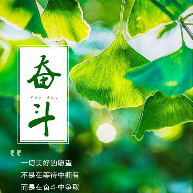 农村芳姐