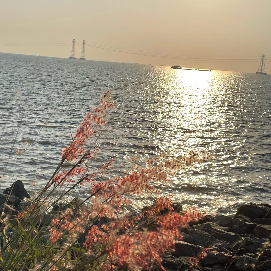 沉默寡言的陈小姐