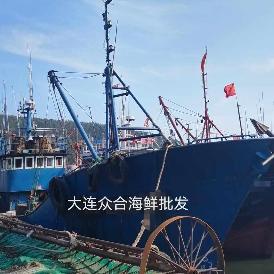 大连众合海鲜批发新号