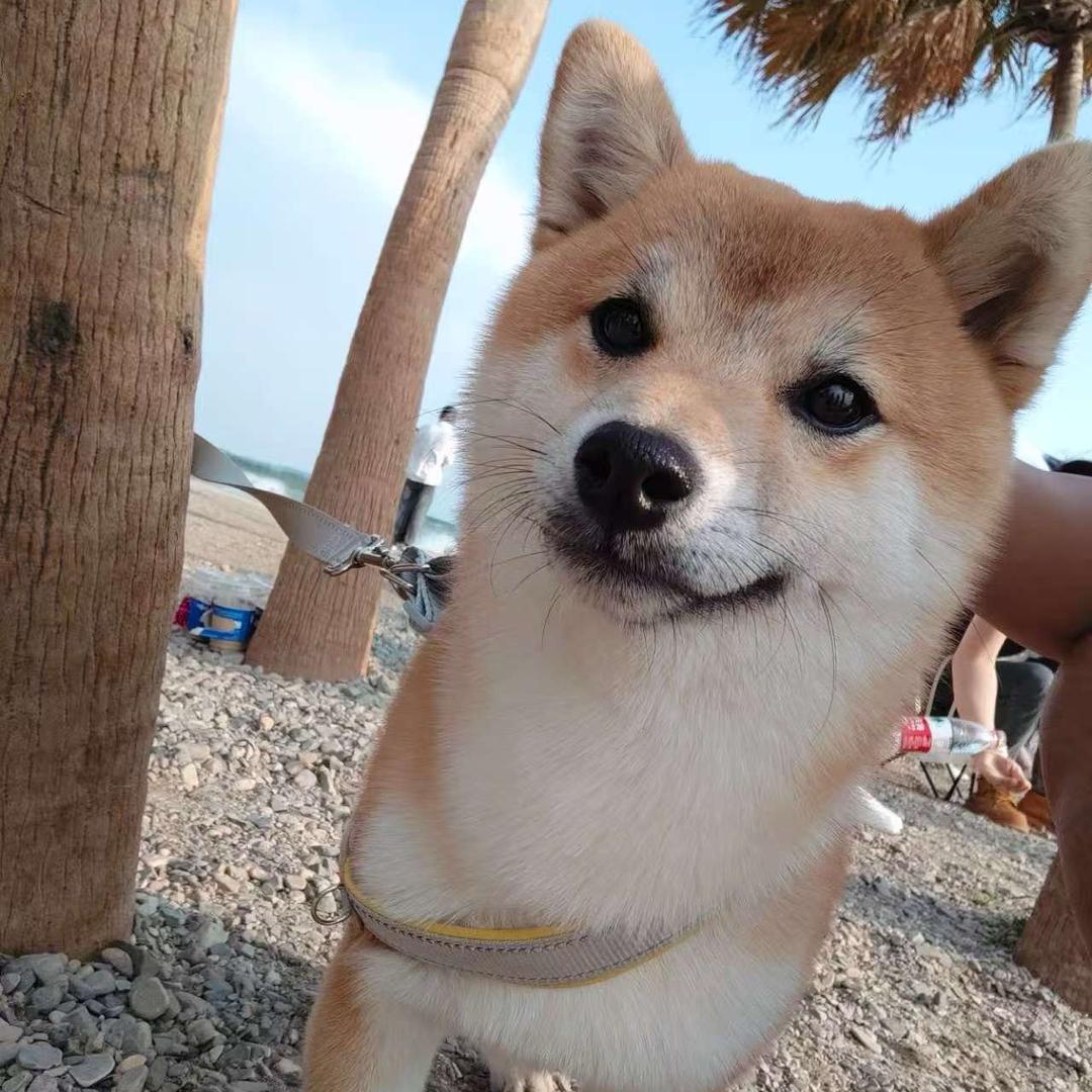一口吃饱饱～