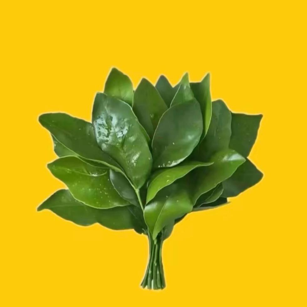 李李🌞