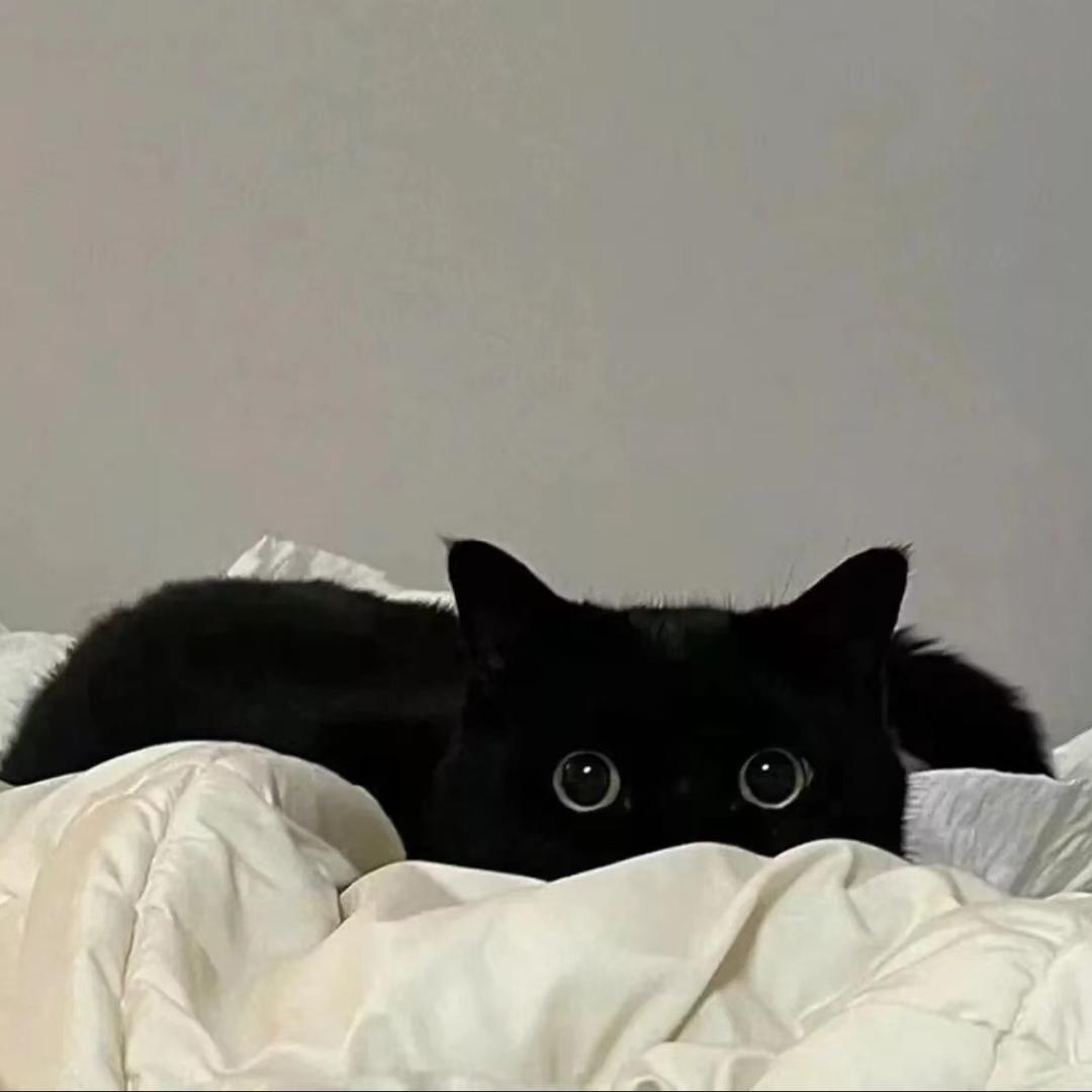 天意、