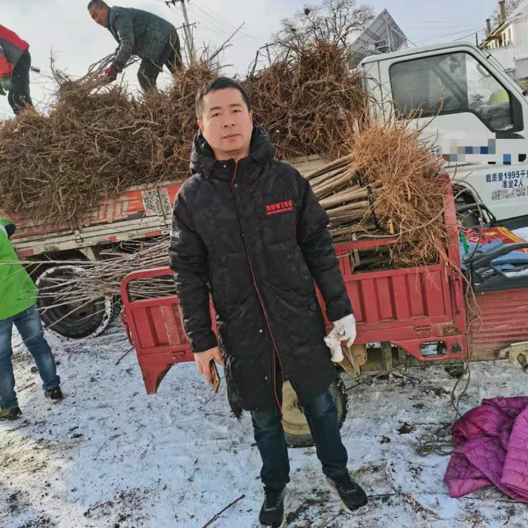 南棠韩金果树苗木专卖店