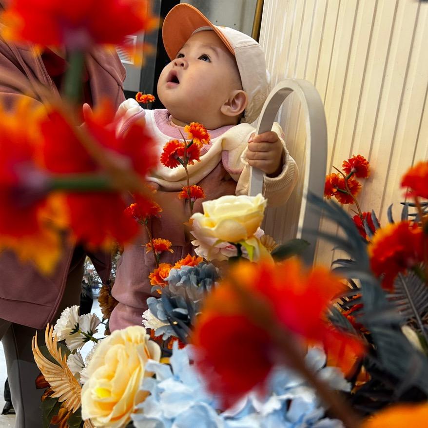 小宝囡囡（宝妈爱分享）