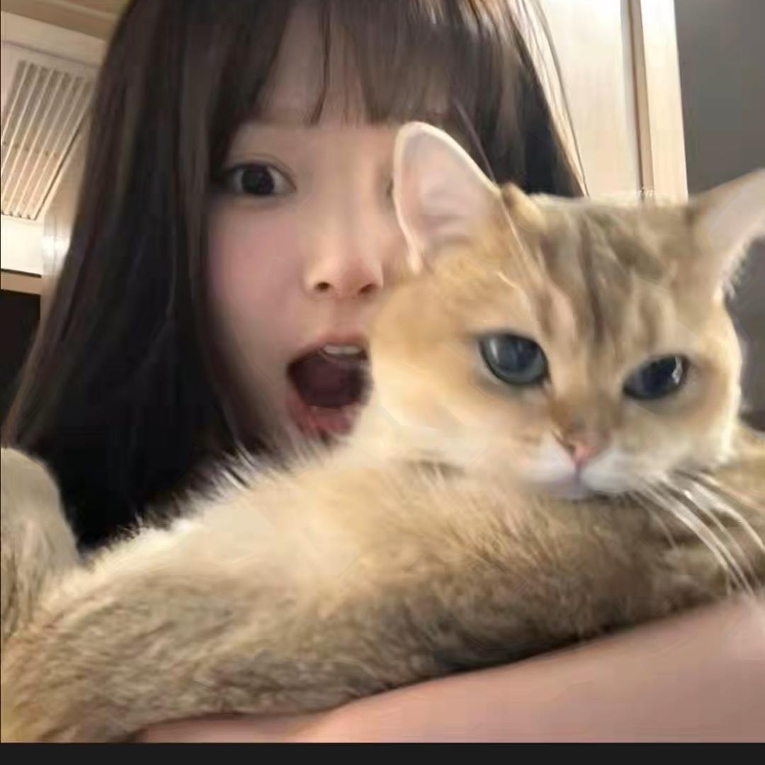 美味猫咪酱