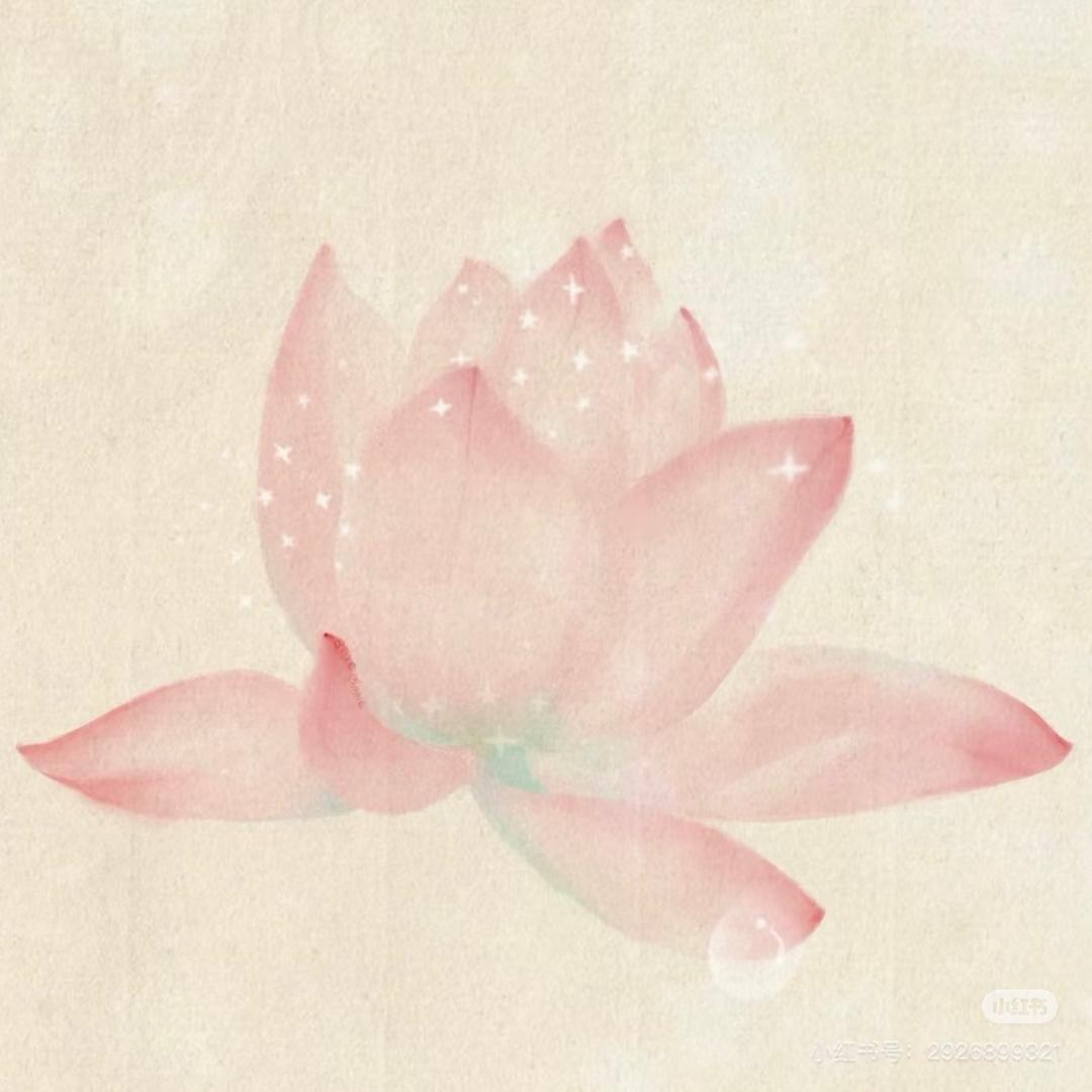 小橙橙