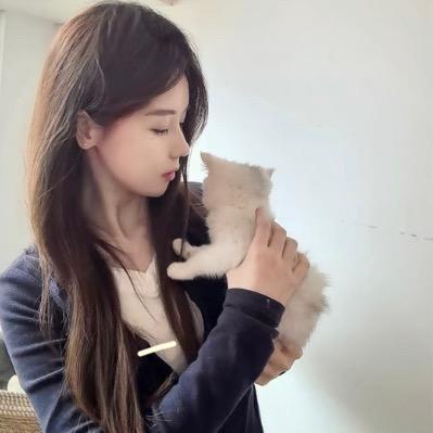 虾扯蛋