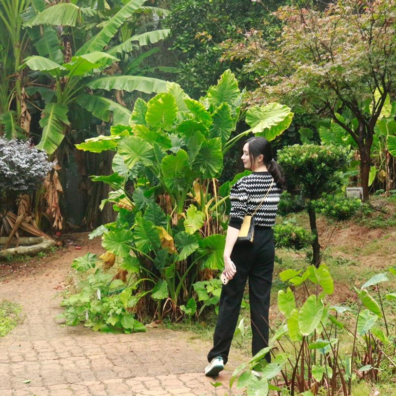 莎妹儿、