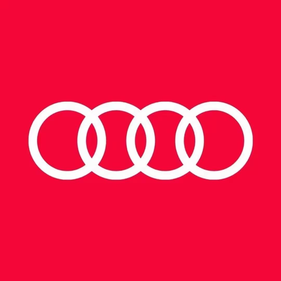 上汽奥迪六安胖东—丽丽