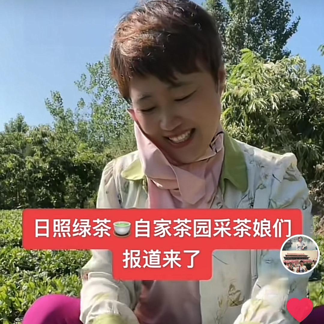 村里的茶农娘们