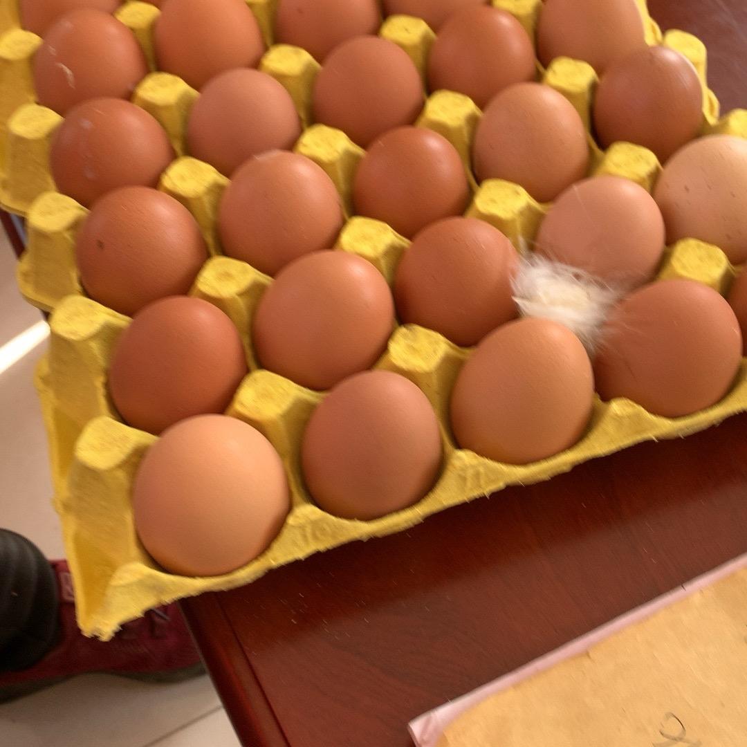 举重