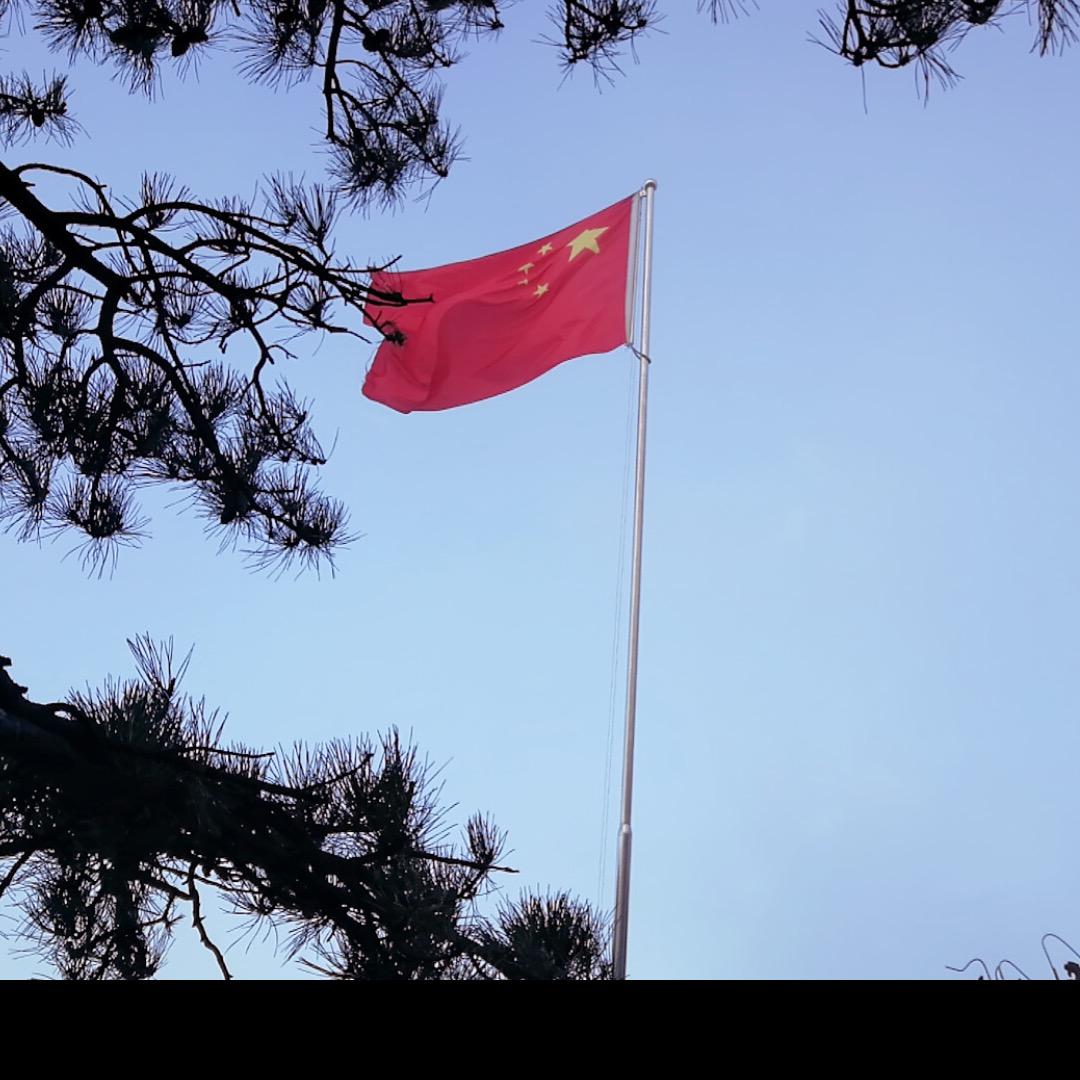 小焦同学