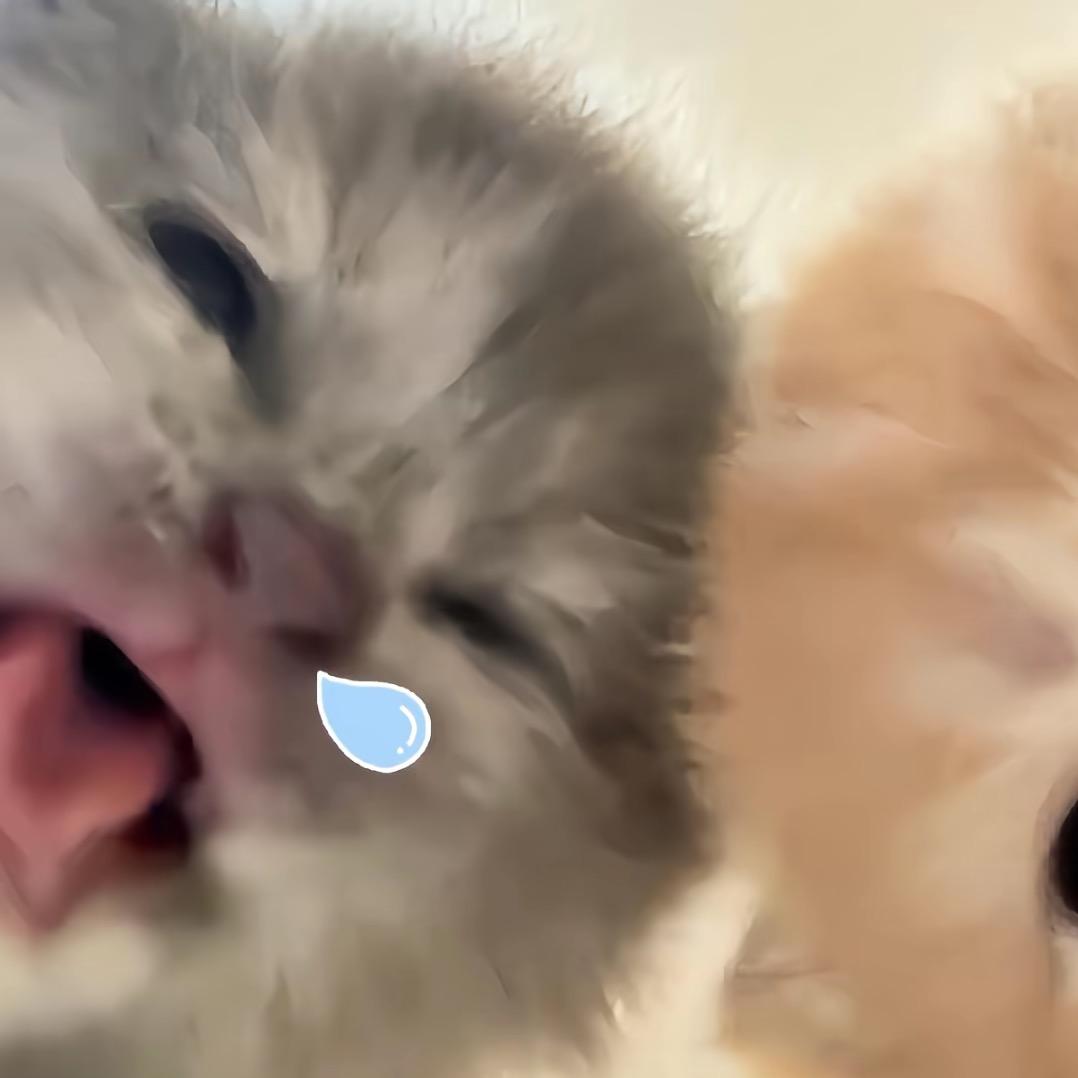 你奶奶（求关注。