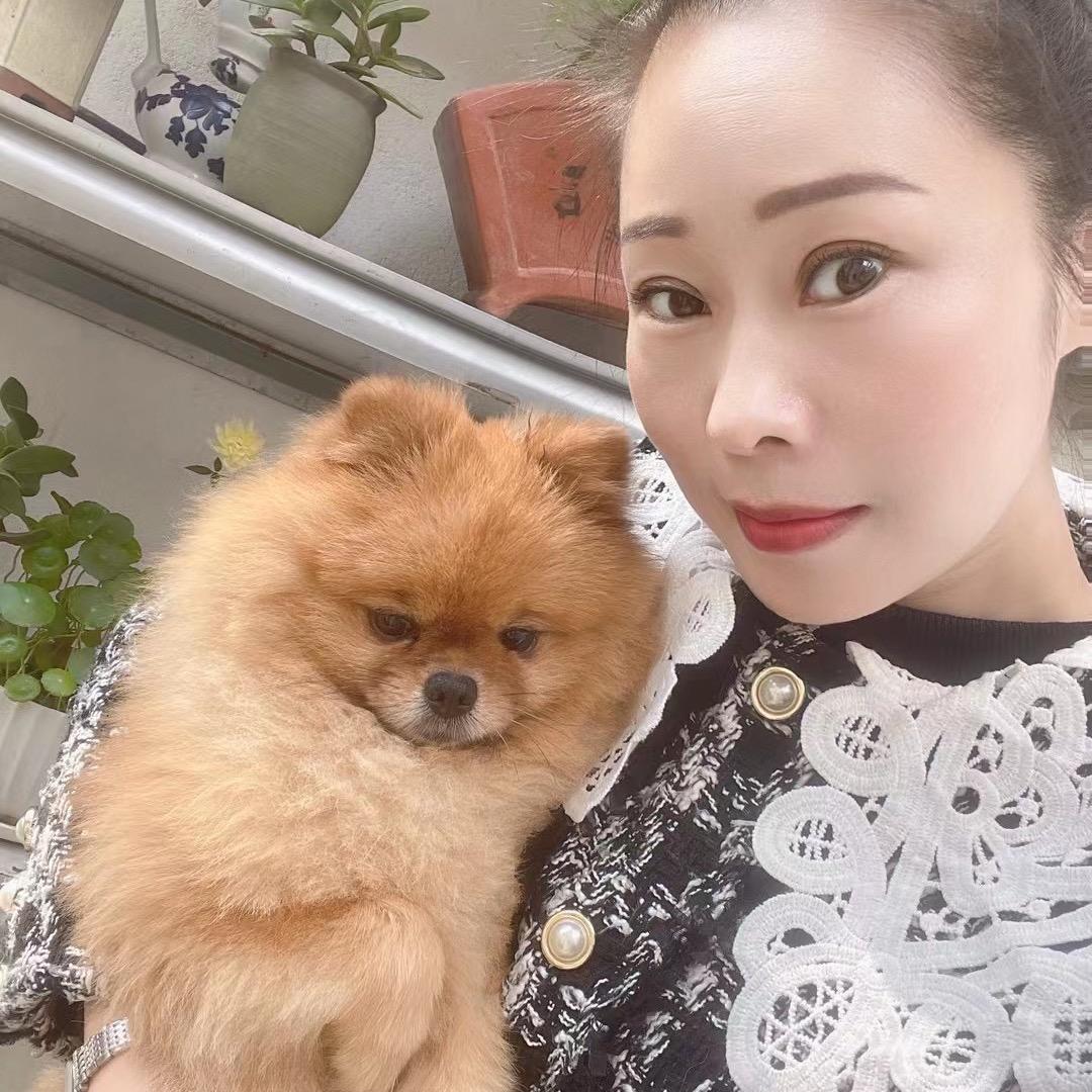 颍上回味小笼包