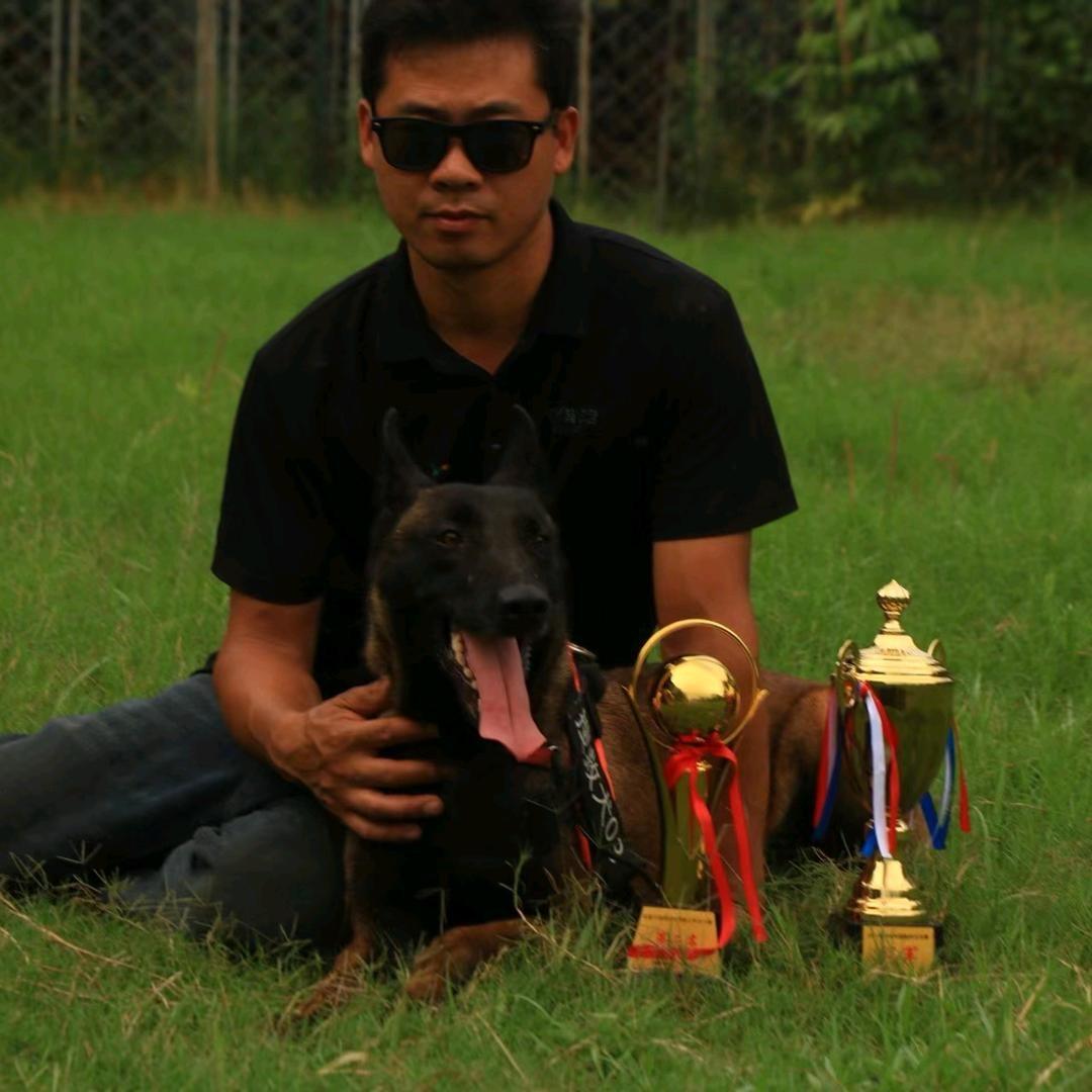 浙江小童训犬繁育基地（直播号）