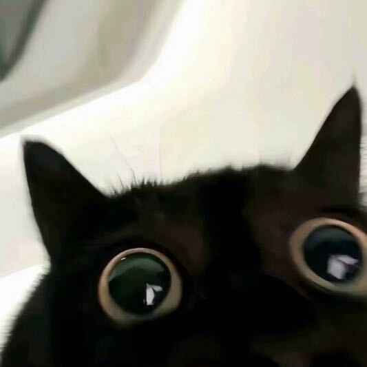 喜感