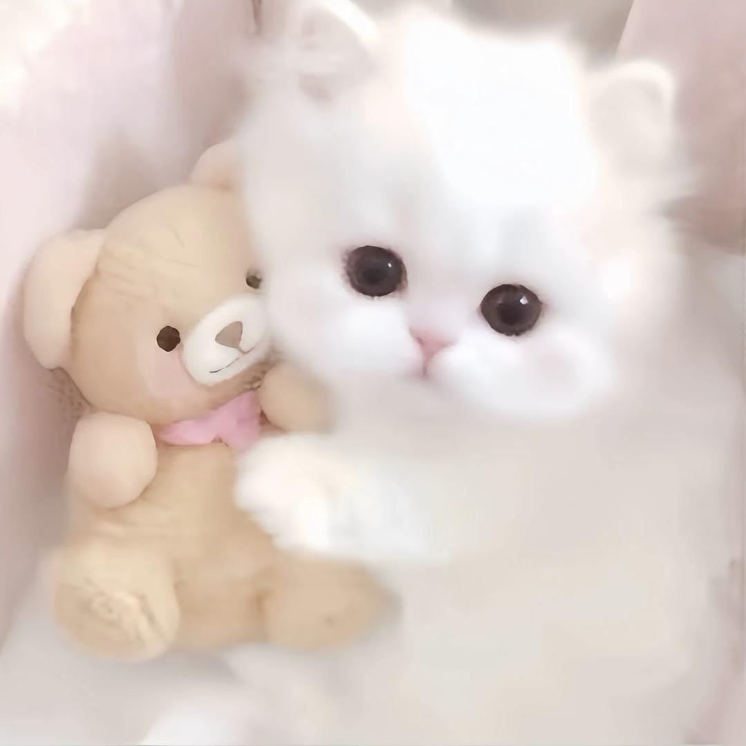 晴晴
