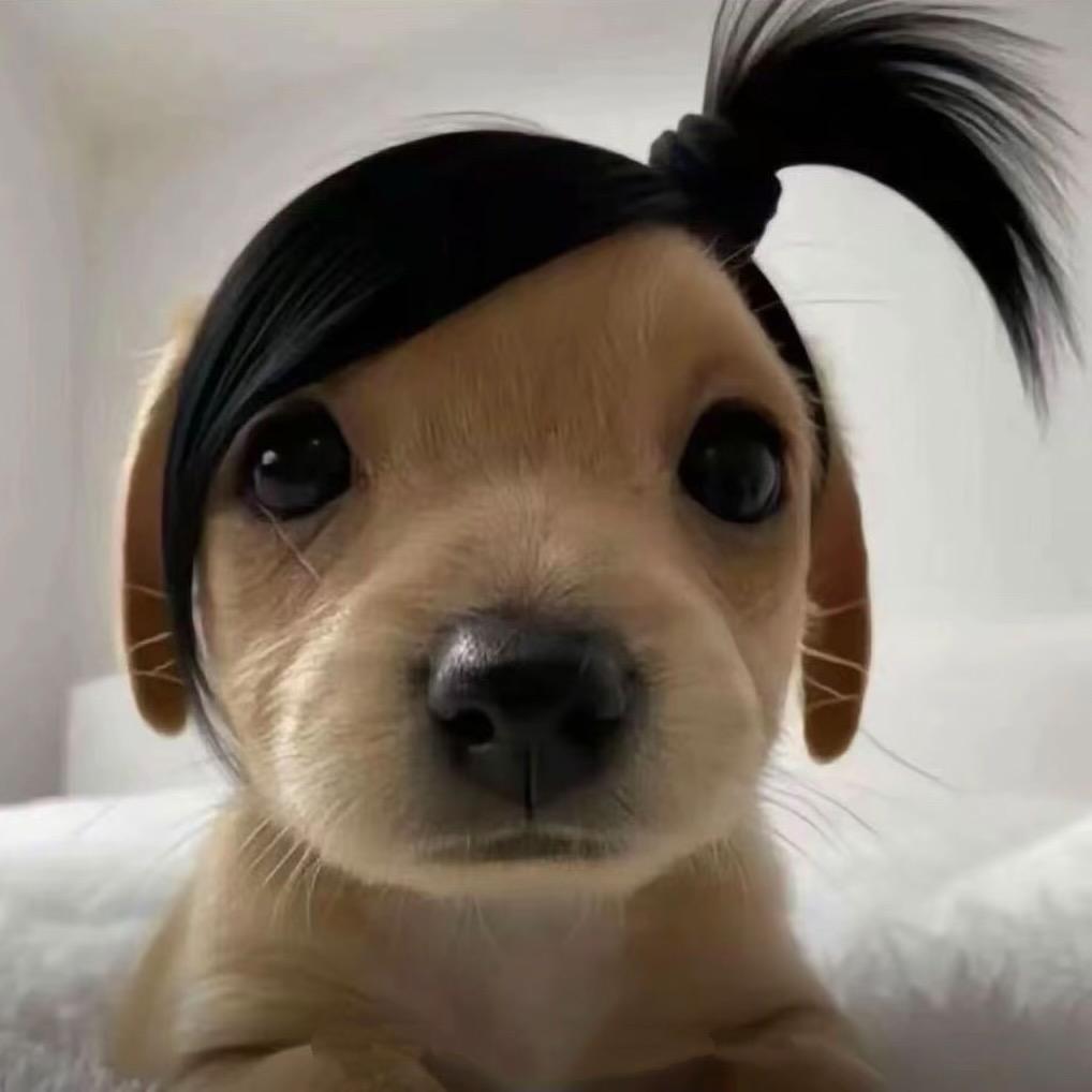 莓泥不行ʸᵃ.ʚʕ̯•͡˔•̯᷅ʔɞ