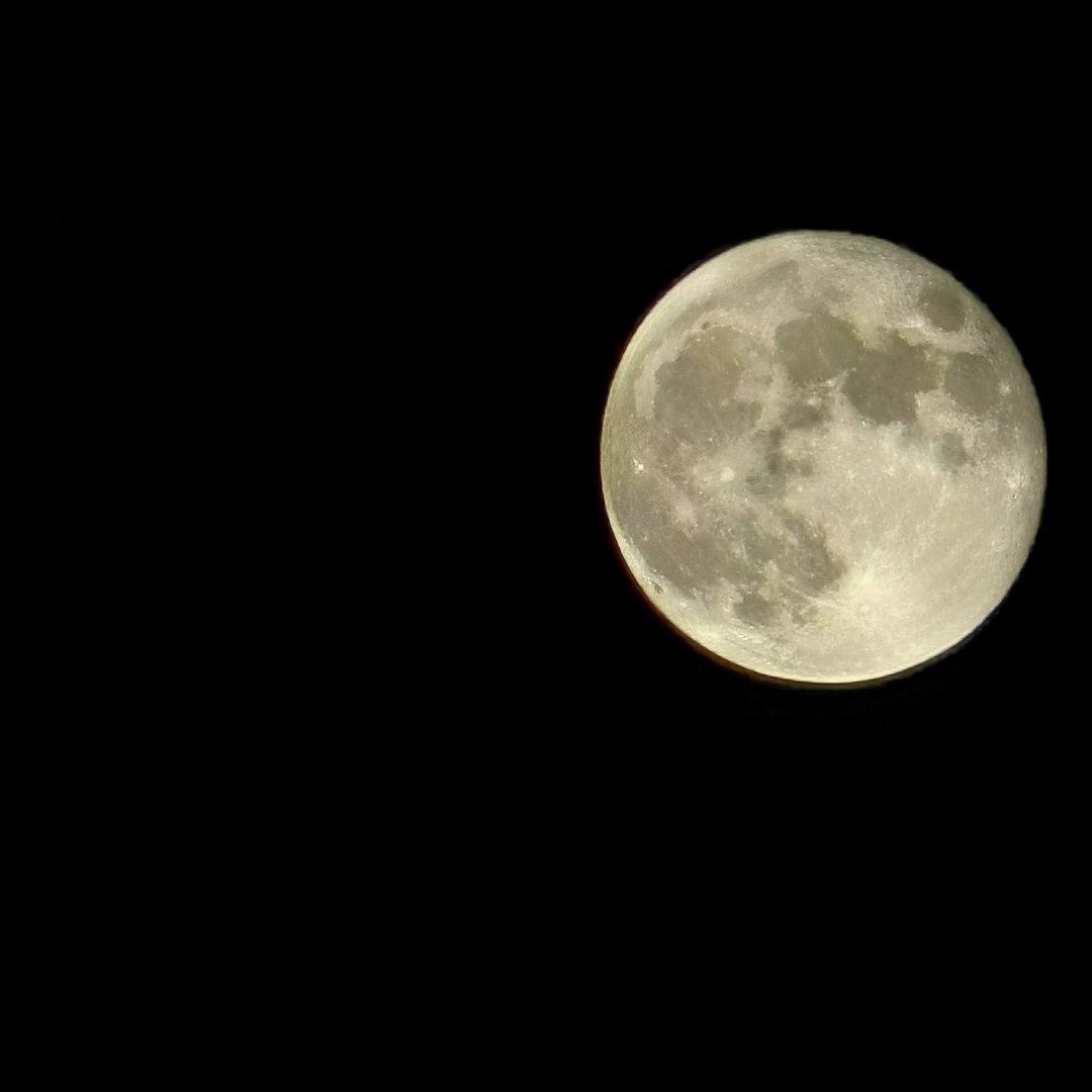 月亮你看你的脸