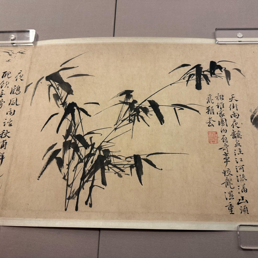 糖小猫🐱背古诗