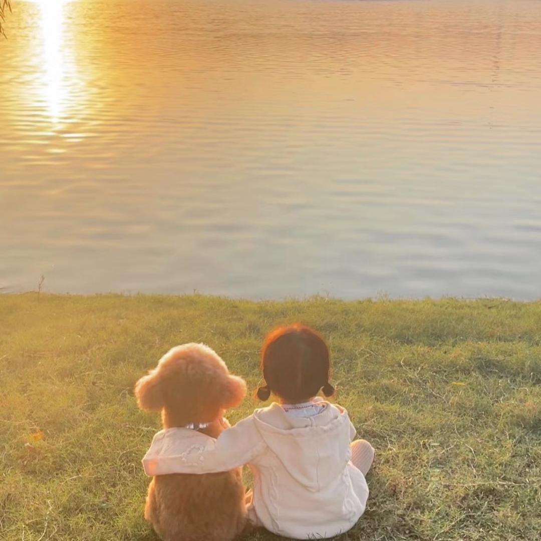 治愈❤️‍🩹