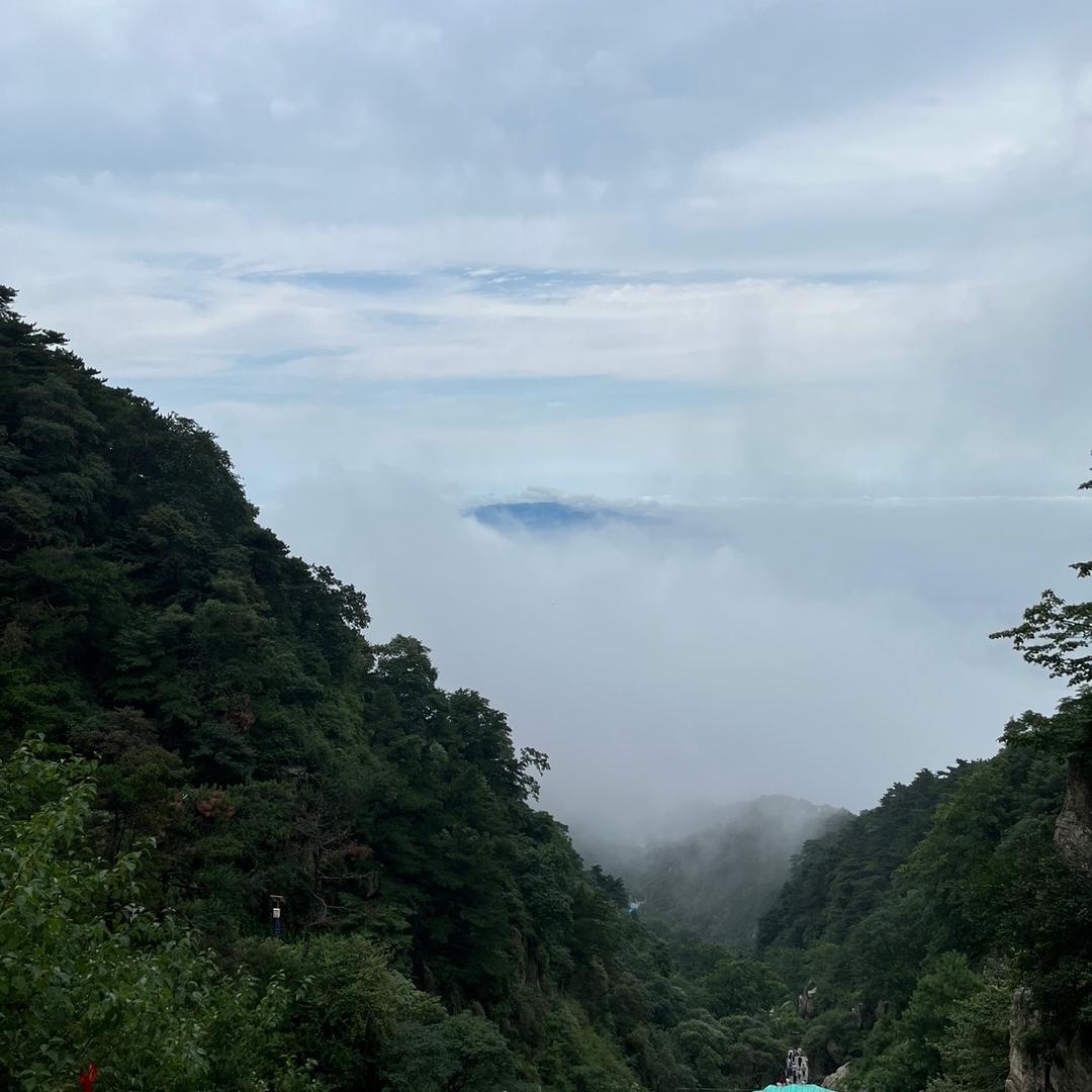 珩泰源头地毯