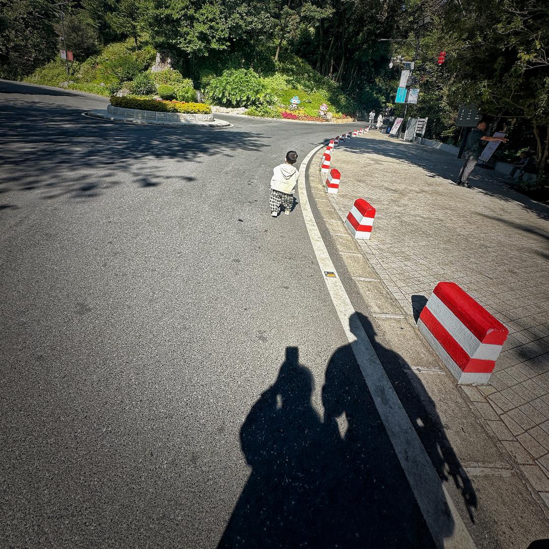 🌸 多糖百事可乐宝