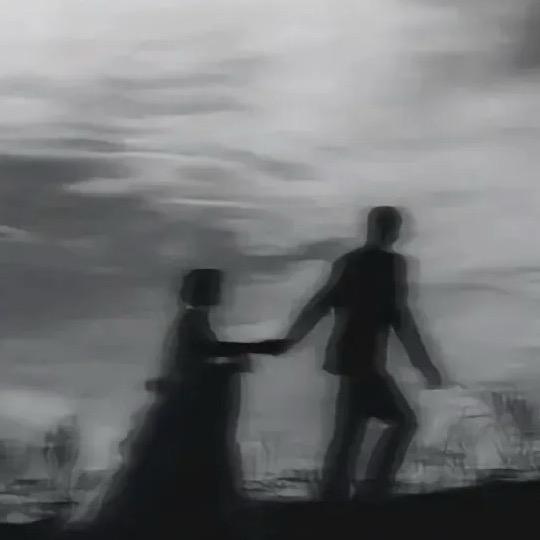 马叉虫