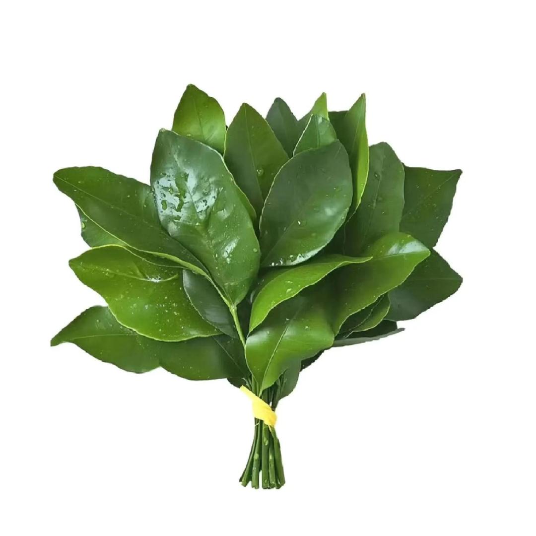 小小小油菜