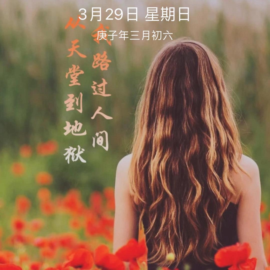雨含雪