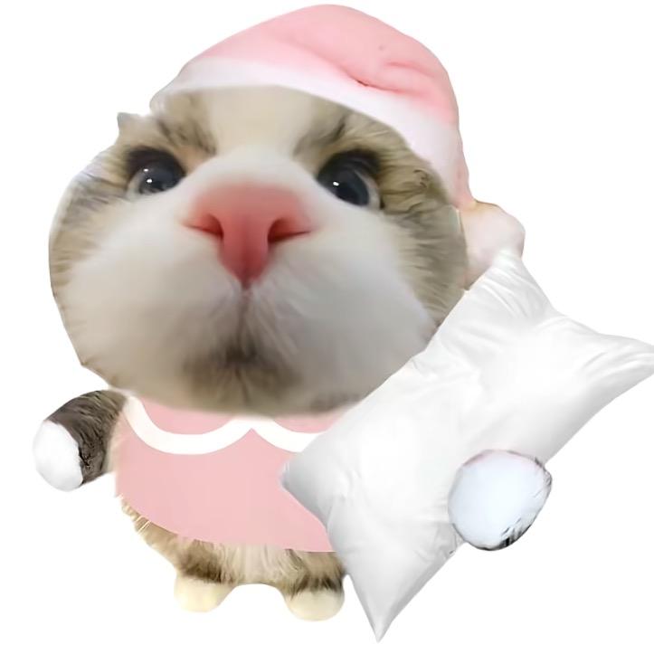 FENG