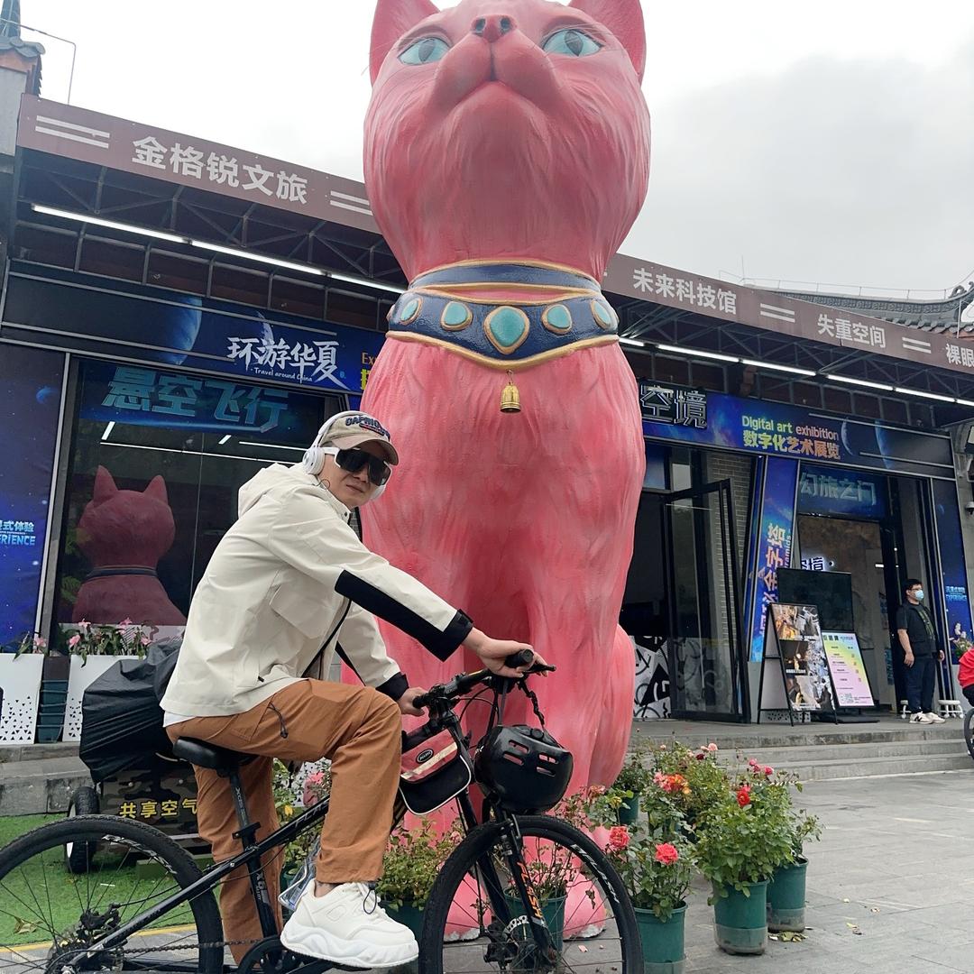 小宋随缘🪷头像
