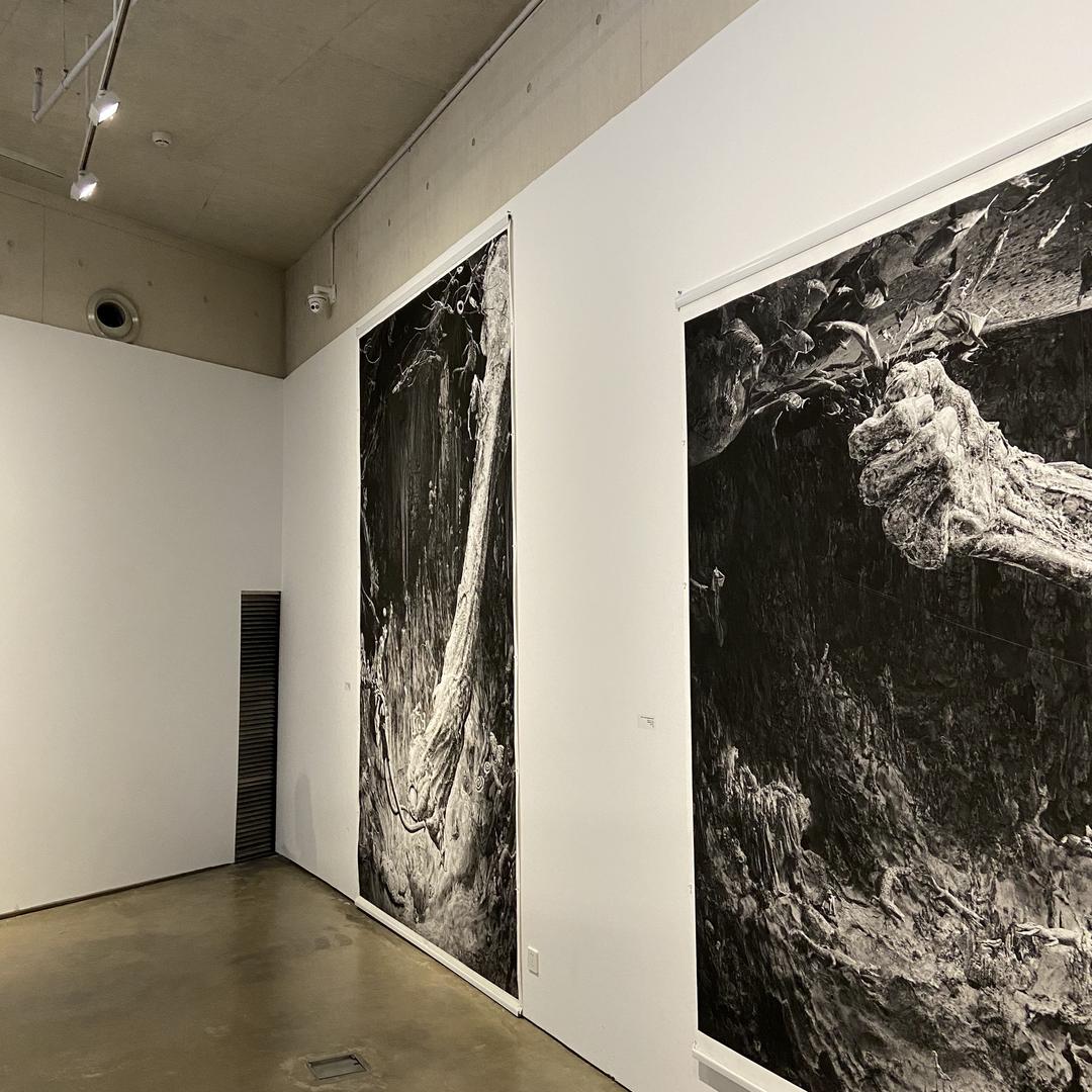 临沂嘉宏源木业