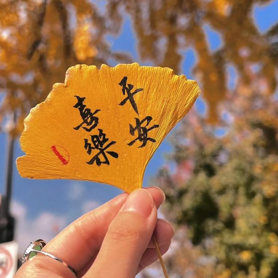 清霄子（硬笔书法学习中)