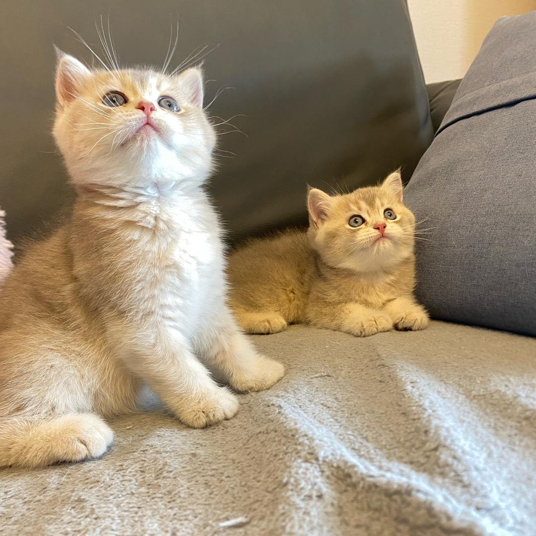 。。。！