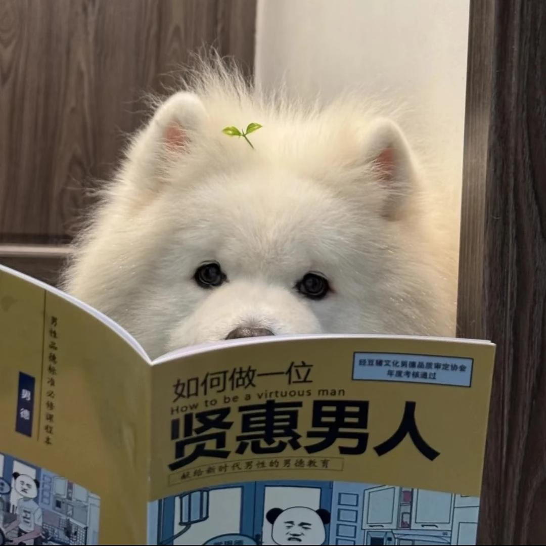 择一