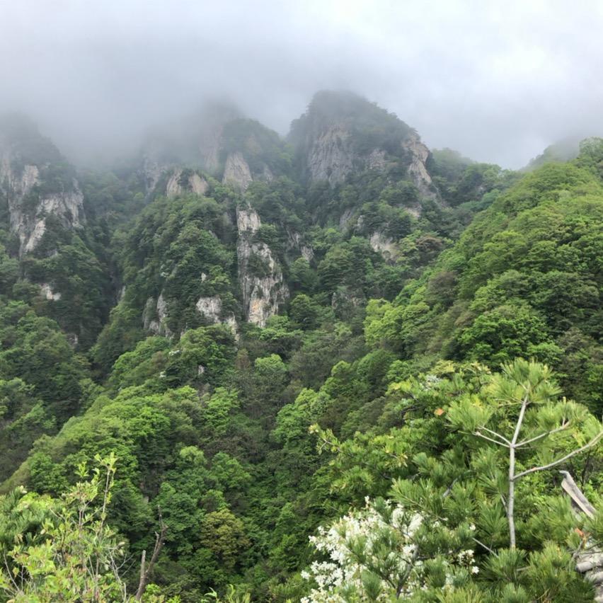 懂得珍惜🇨🇳