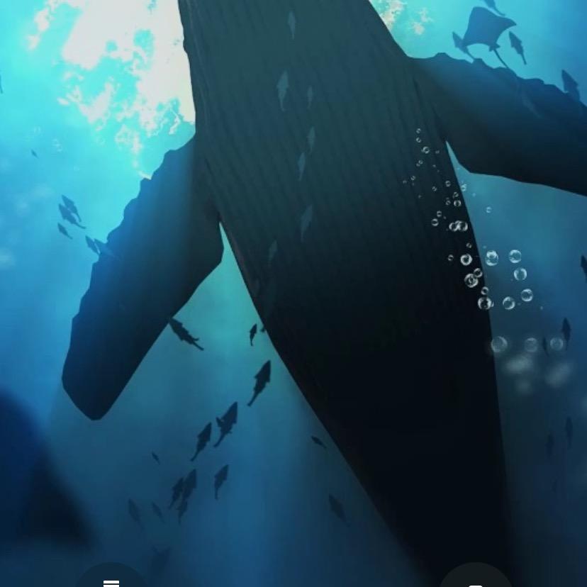 孤浊酒(燕云十六声)