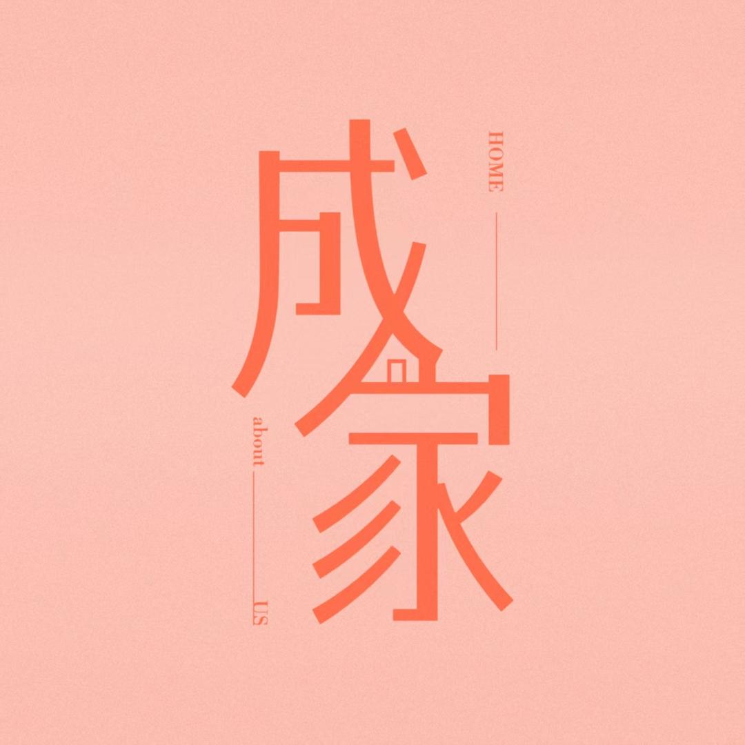 电视剧成家